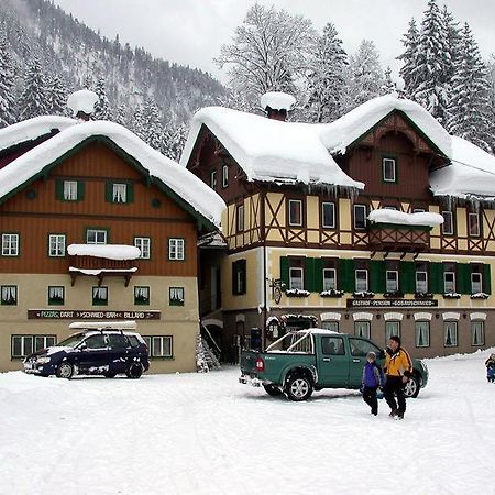 Jugendgaestehaus Gosauschmied Екстер'єр фото